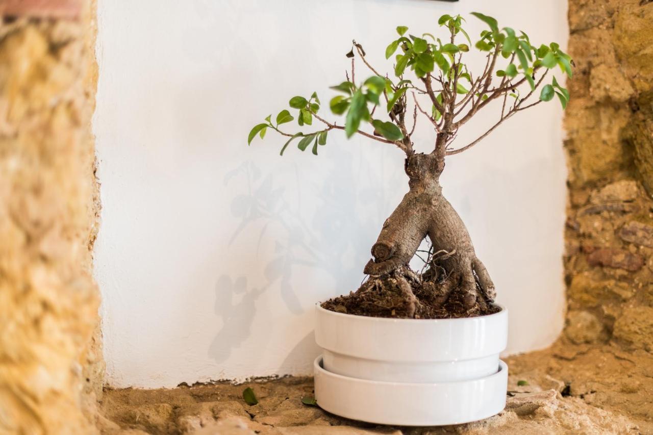Alfama Design Villa Lisboa Dış mekan fotoğraf